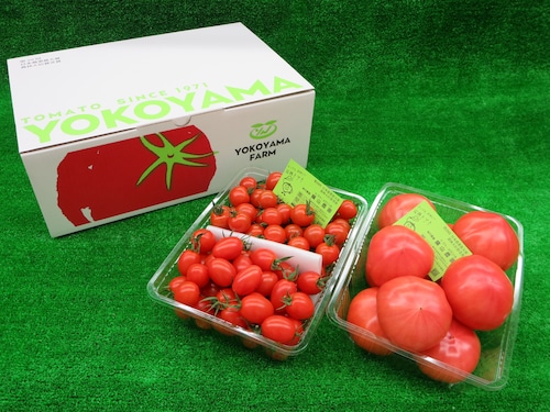 ファーストトマト2kg入り + ミニトマト2種類MIX1.5kg