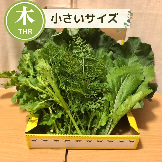 【11月5日（木）21時より受付開始】＜木曜日に収穫・発送＞【小さいサイズ】季節のお野菜セット
