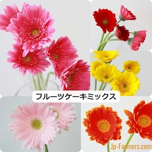 【ウィンターフェア】　日持ち抜群『フルーツケーキ』ＭＩＸ　50本
