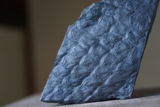 鱗木化石 Lepidodendron obovatum 1