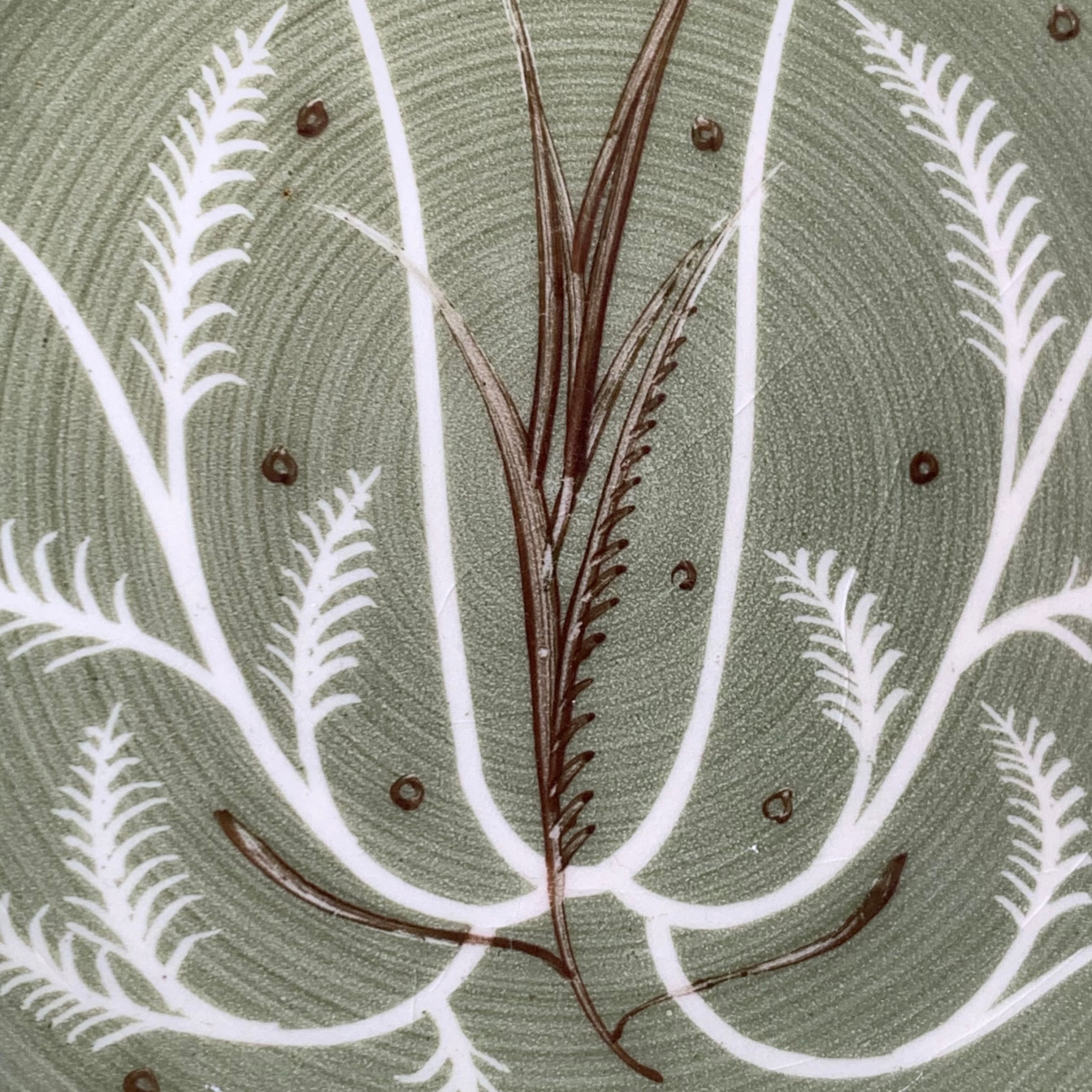 スージークーパー チャイニーズファーン プレート15.5cm イギリス製