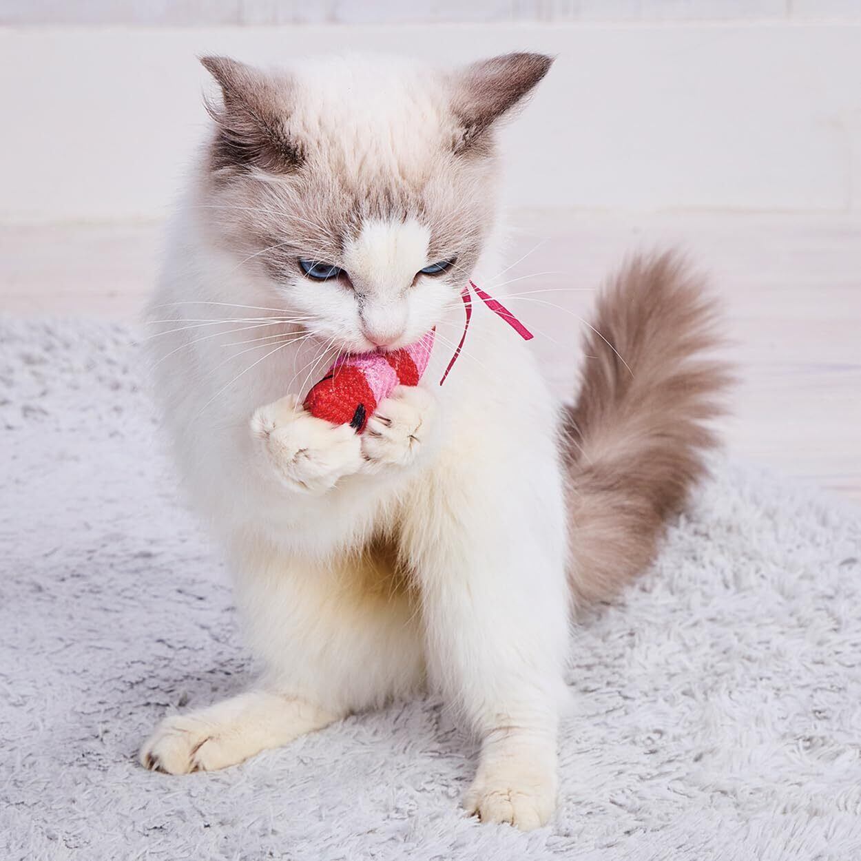 犬、猫 金のお皿 フードボール スヌープドッグコラボ商品 | Pay ID