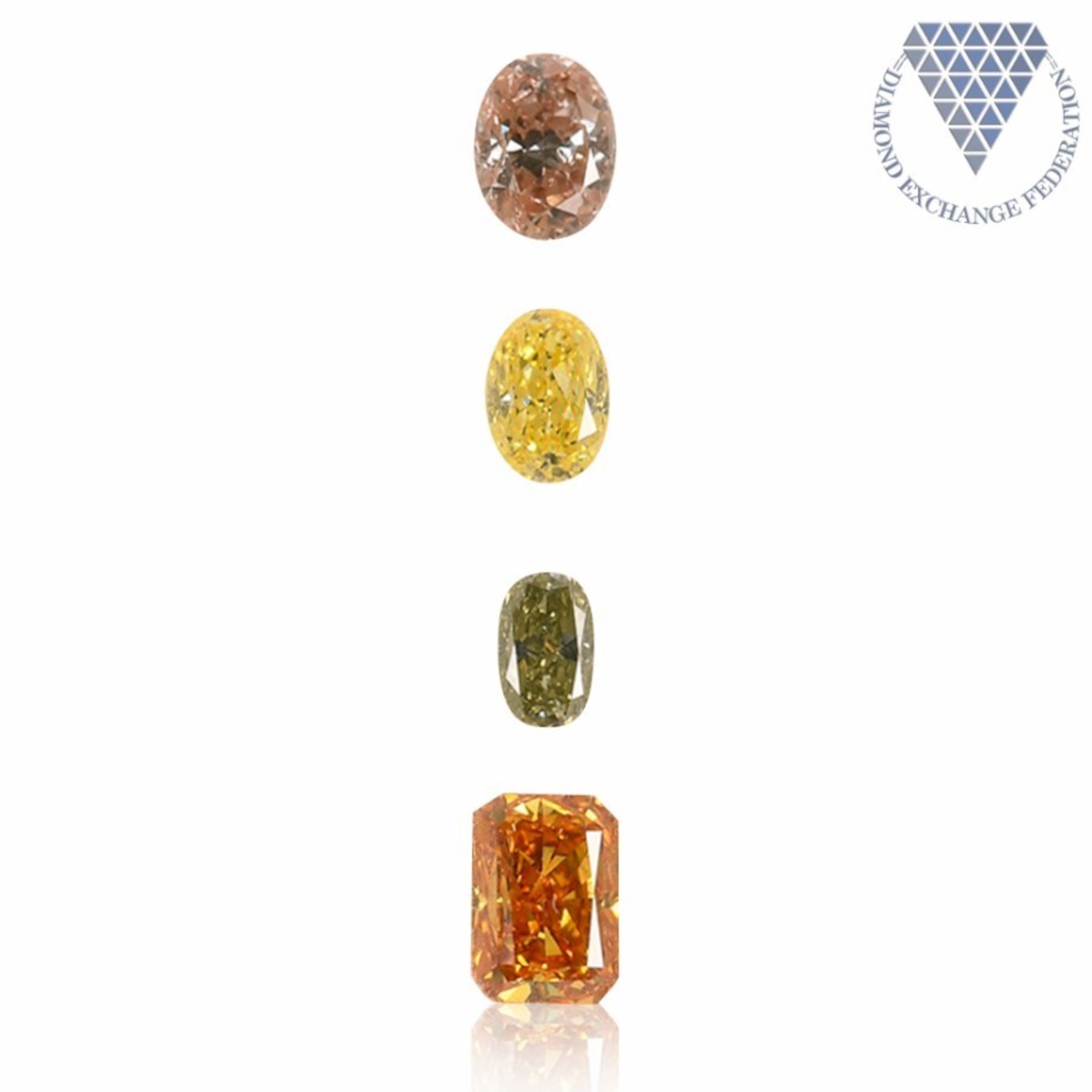 合計 0.69 ct 天然 カラー ダイヤモンド 4 ピース GIA 点 付 マルチ 