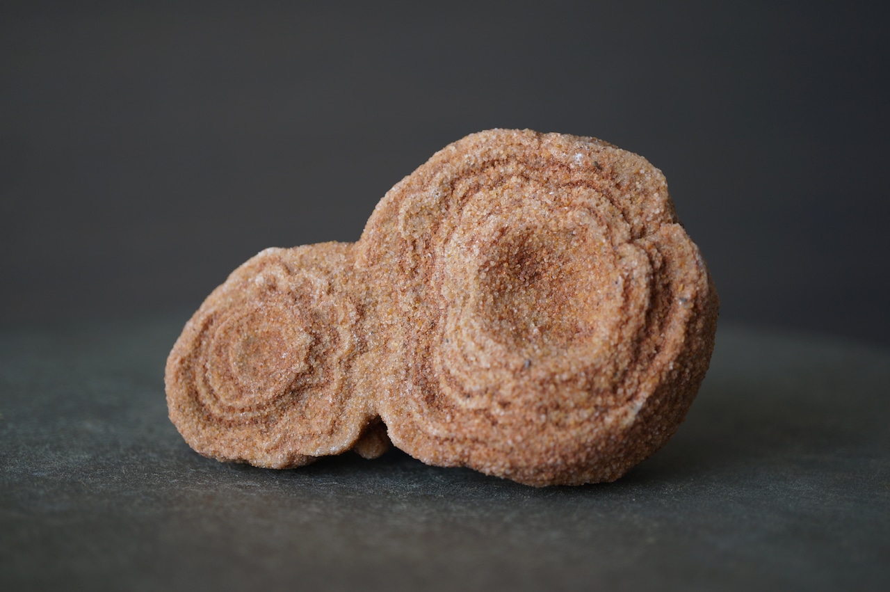 モロッコ産ストロマトライト Stromatolite 2306