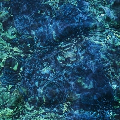 LP】青葉市子 - Luminescent Creatures【通常盤】 | 北村電機レコード