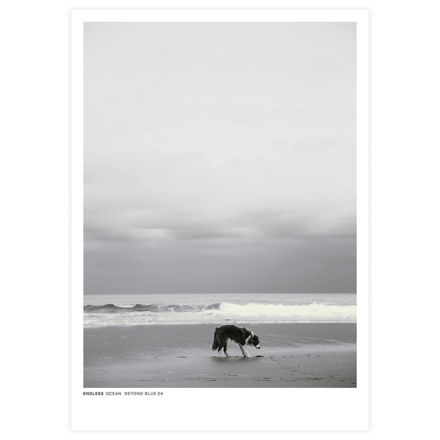 Endless Ocean VL.08_BK