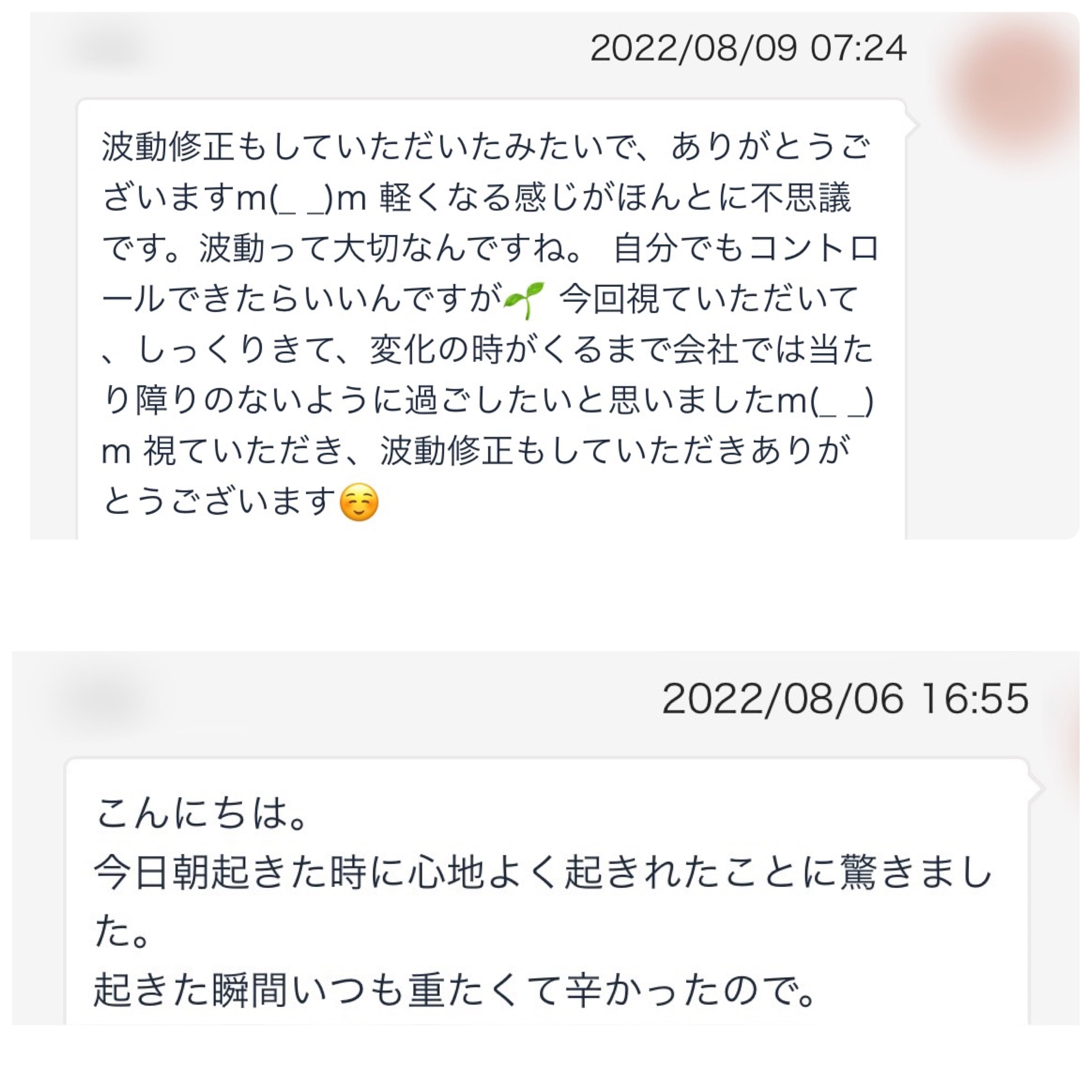 初回限定特別価格○波動修正○引き寄せ 仕事運 仕事全般 就職 転職