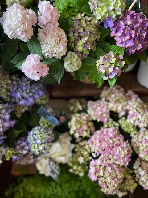 母の日*お母さんにお花を贈ろう!◆*イヨシシ手まり紫陽花3.5寸籠付き・4000円