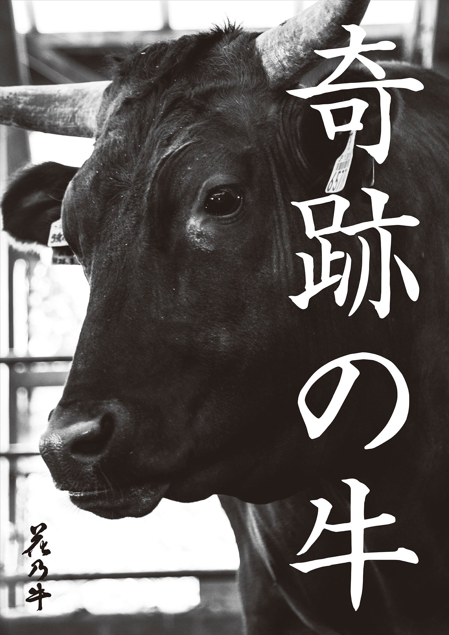 花乃牛】リブローススライス 冷凍 (400g) | 【公式】肉匠はなふさ 和牛