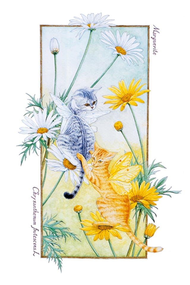 妖精猫ポストカード　BOTANICAL FANTASY シリーズ　ペア＆トリオセット 10種（各１枚）