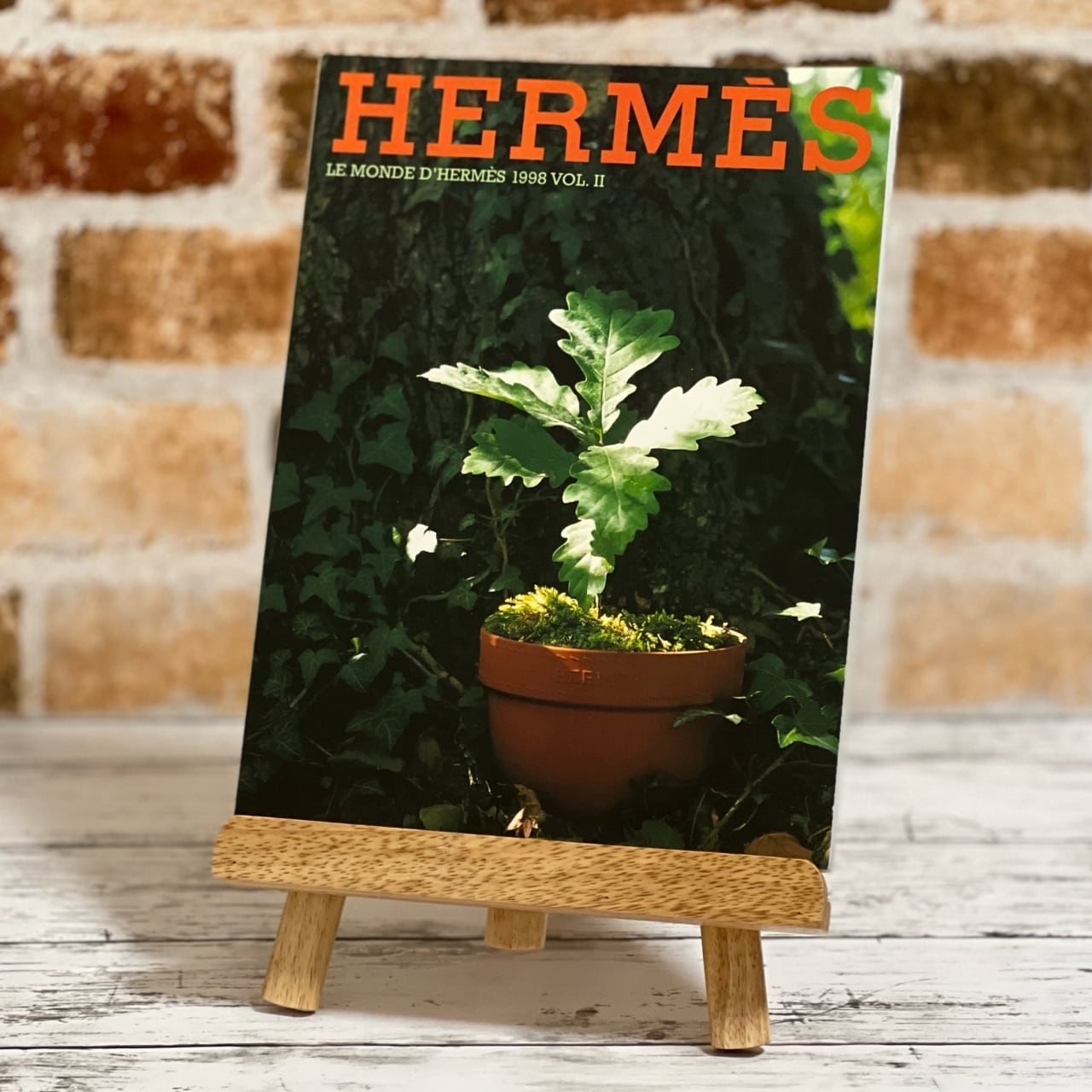 未使用・非売品】HERMES 植木鉢・プランター 素焼き テレコッタ - agame.ag