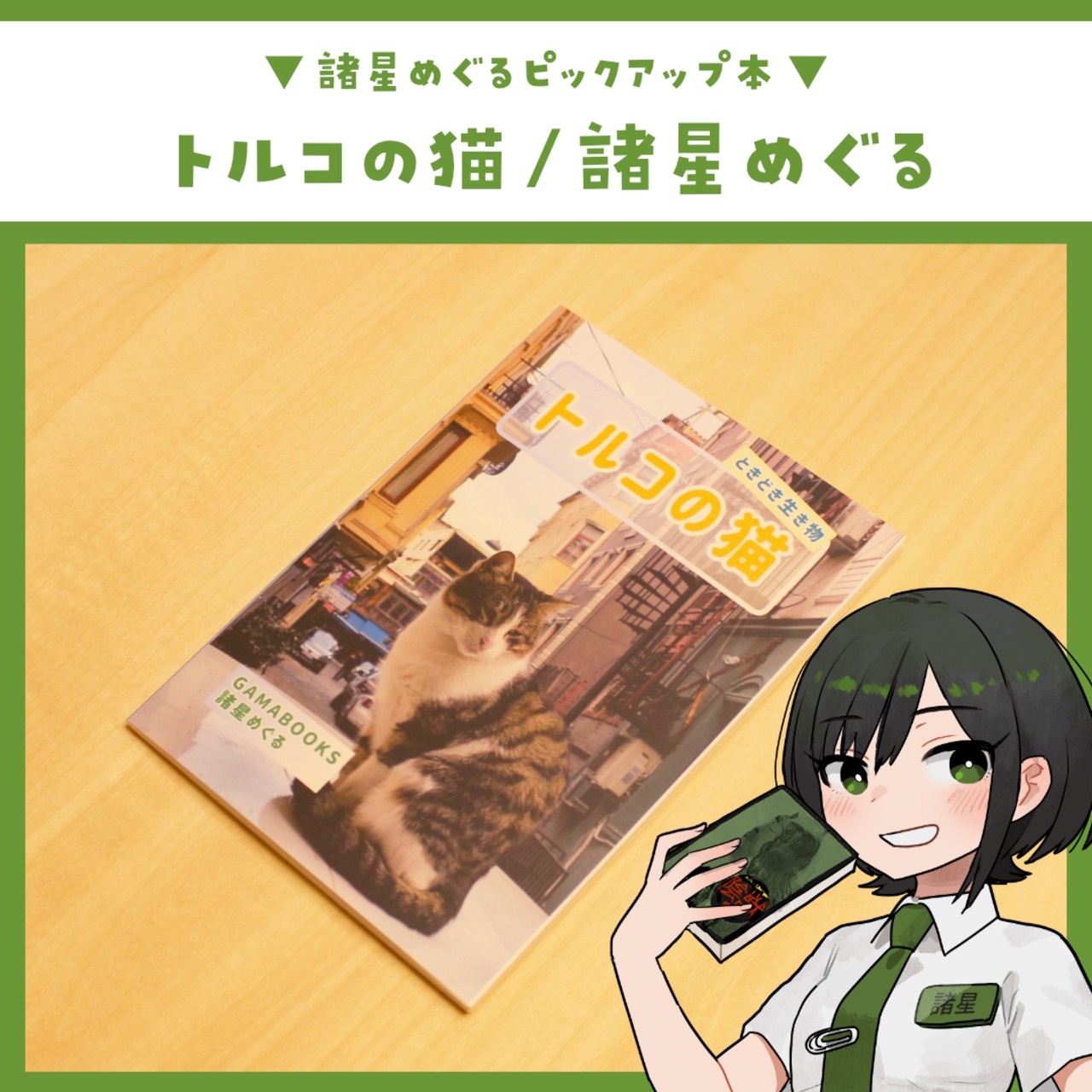 トルコの猫 ～ときどき生き物～ / 諸星めぐる