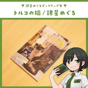 トルコの猫 ~ときどき生き物~ / 諸星めぐる