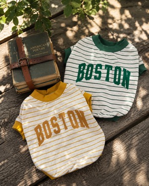 BOSTON  Striped Sweat