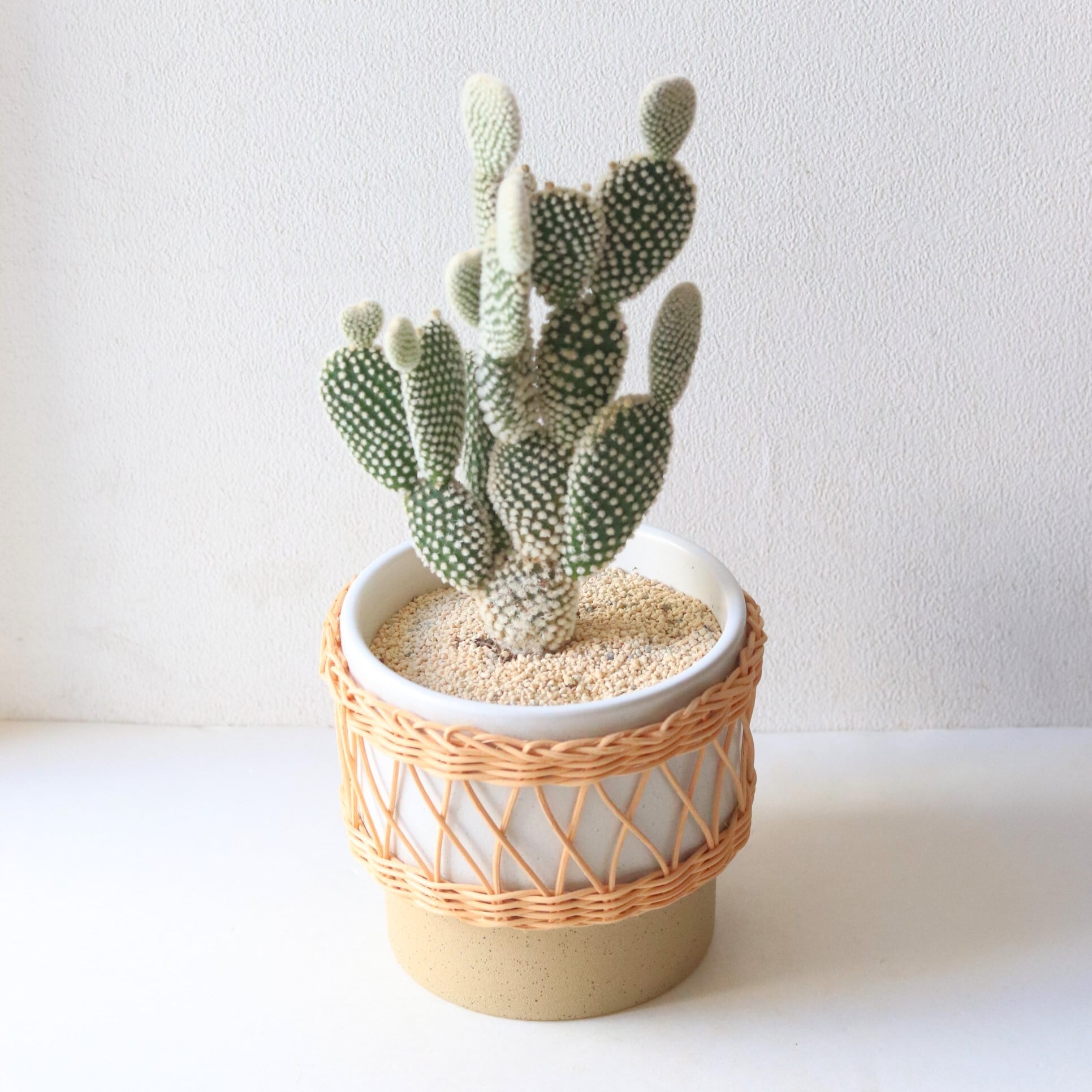 f45c696616d26a42f9ba5d9c45798b