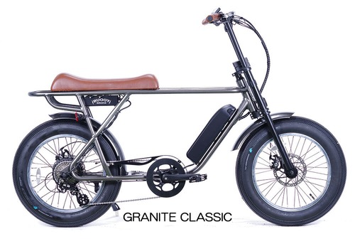 BRONX Buggy 20 e-bike (Granite Classic)