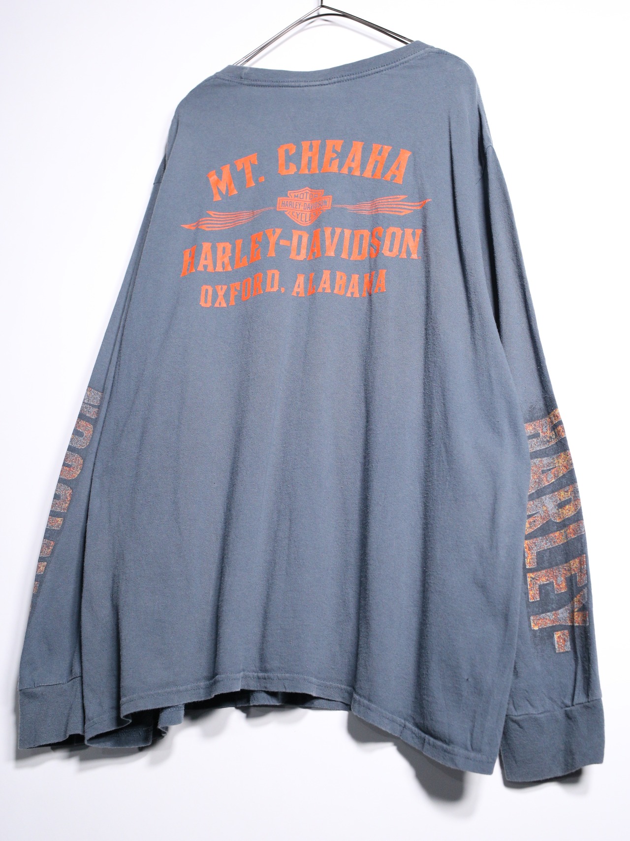 "HARKEY VIDSON" 360℃ print XXL over silhouette l/s tee - 18
