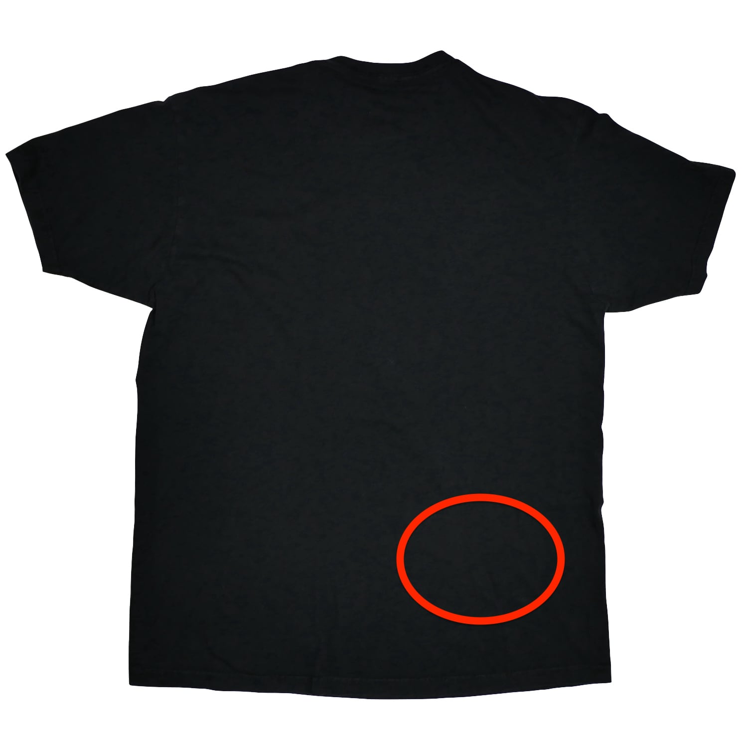 USED【L】伊藤潤二 富江 Tomie でも美人だろ？ Tee / Junji Ito