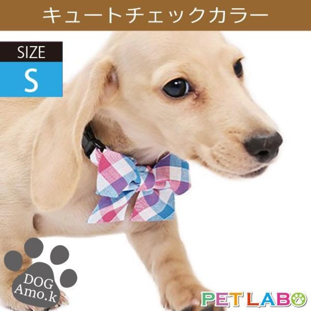 メール便発送OK!!　キュートチェックカラー(Sサイズ)　Amo.k アモワークス 首輪 胴輪 ハーネス リード 引き手 お散歩 お出かけ