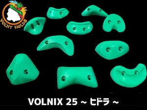 VOLNIX25 ~ヒドラ~ Dual tex