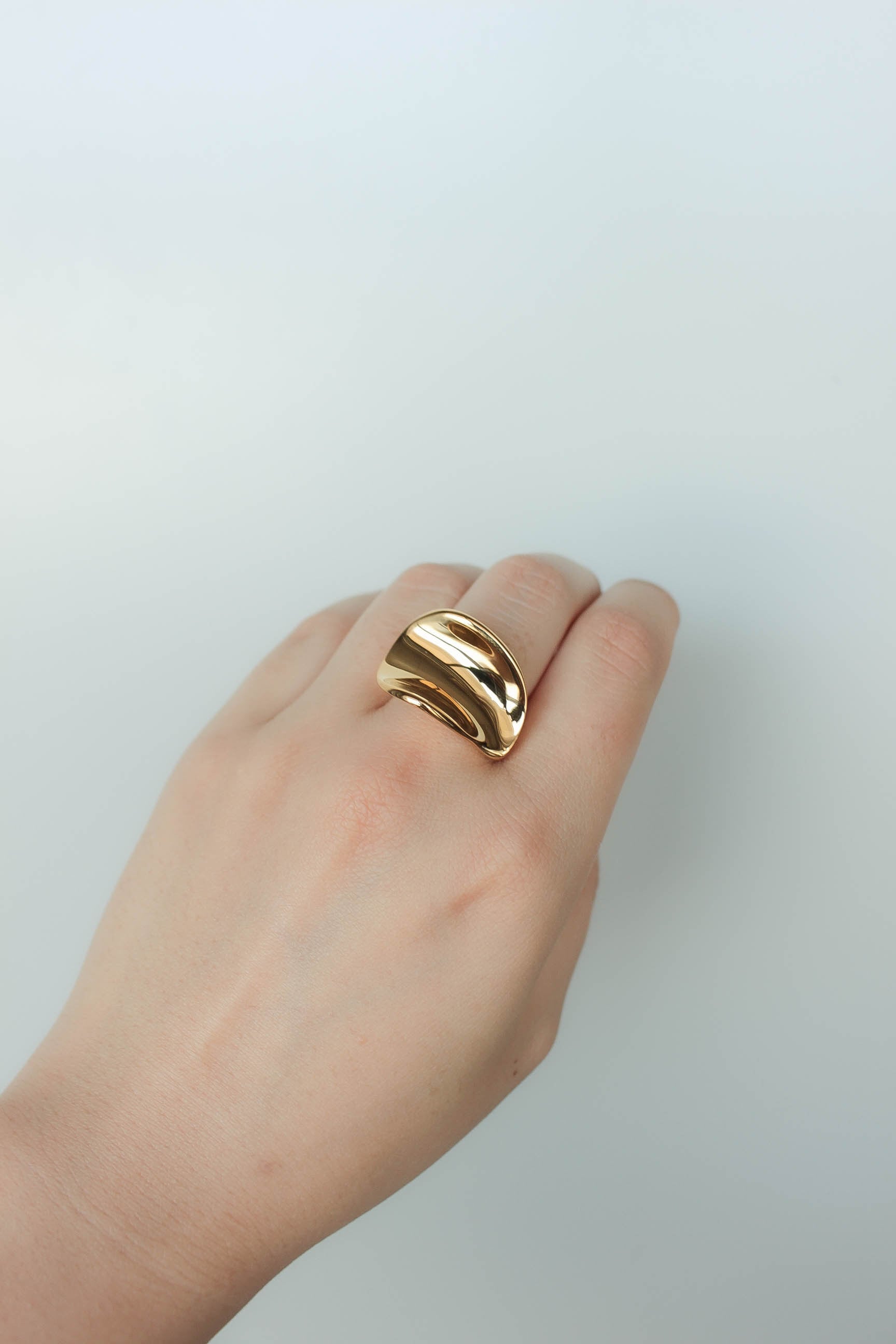 Plate Arc Ring