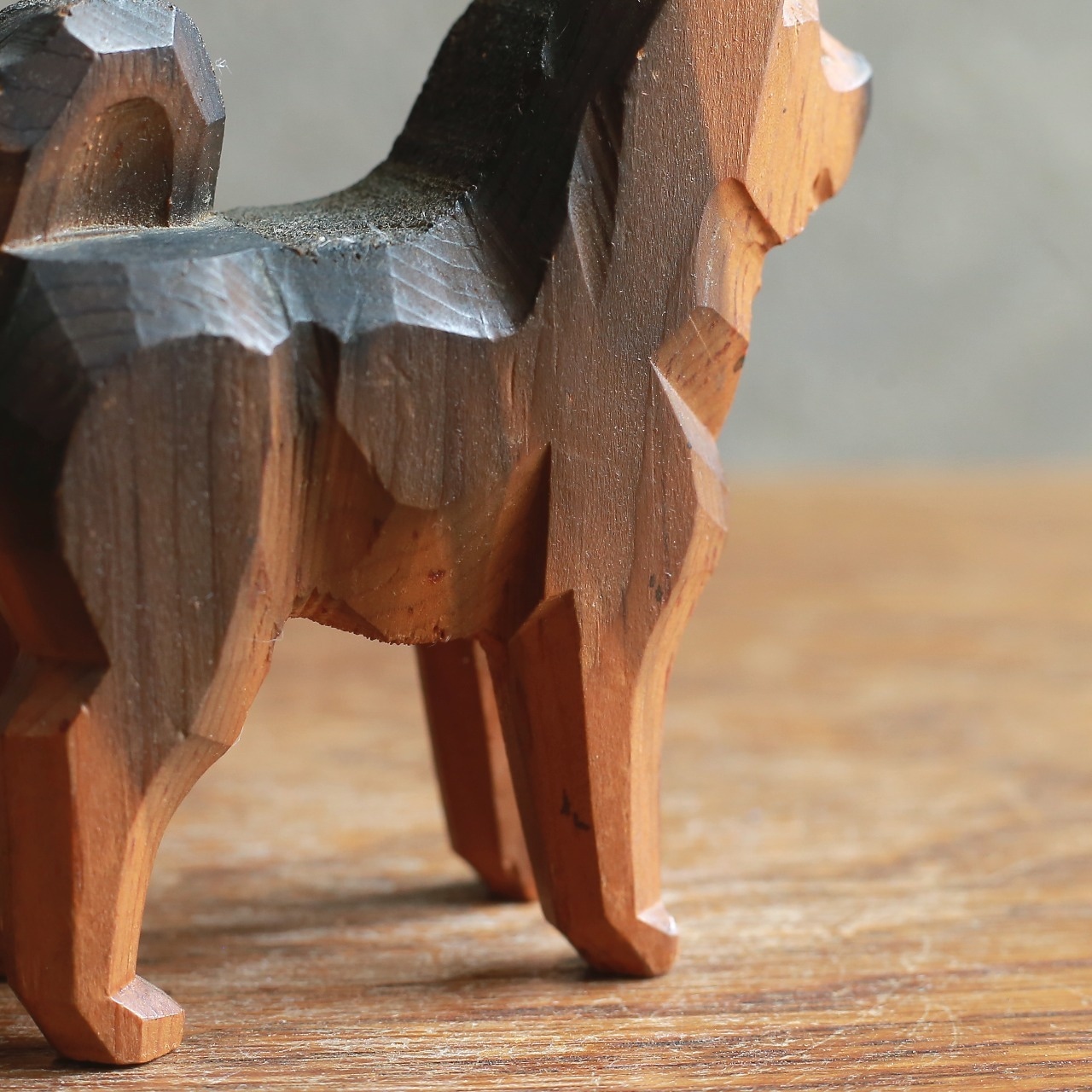 凛々しい立ち姿で、熱い視線を送る犬 1