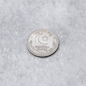 パキスタン 1/4ルピー コインリング|PAKISTAN QUARTER RUPEE COINRING