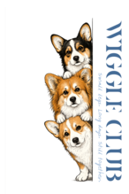 STACKED CORGIS Tee　[T0047]