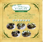 ケールチップス【30g×６個入り】