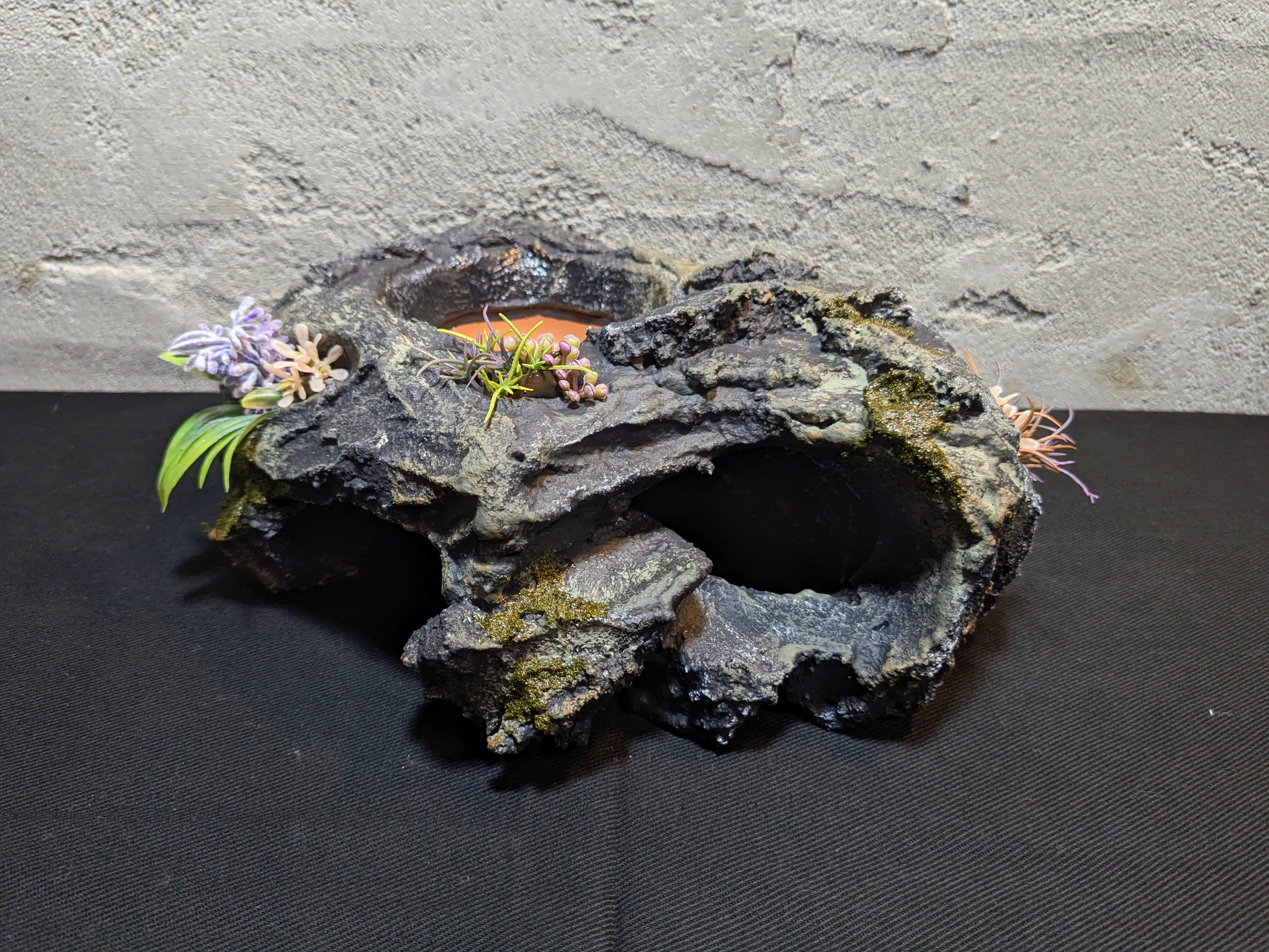 爬虫類用造形アート ともえ屋