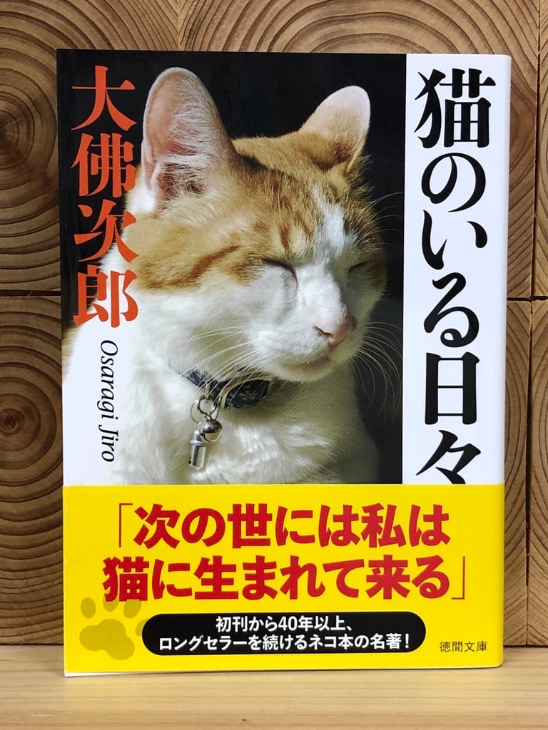 猫のいる日々 冒険研究所書店