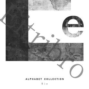 アートポスター / ALPHABET COLLECTION：E　eb081e