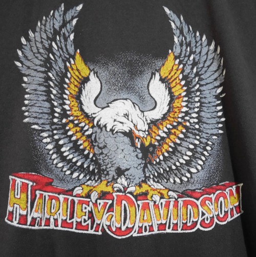 ハーレーダビッドソン ビッグイーグルT