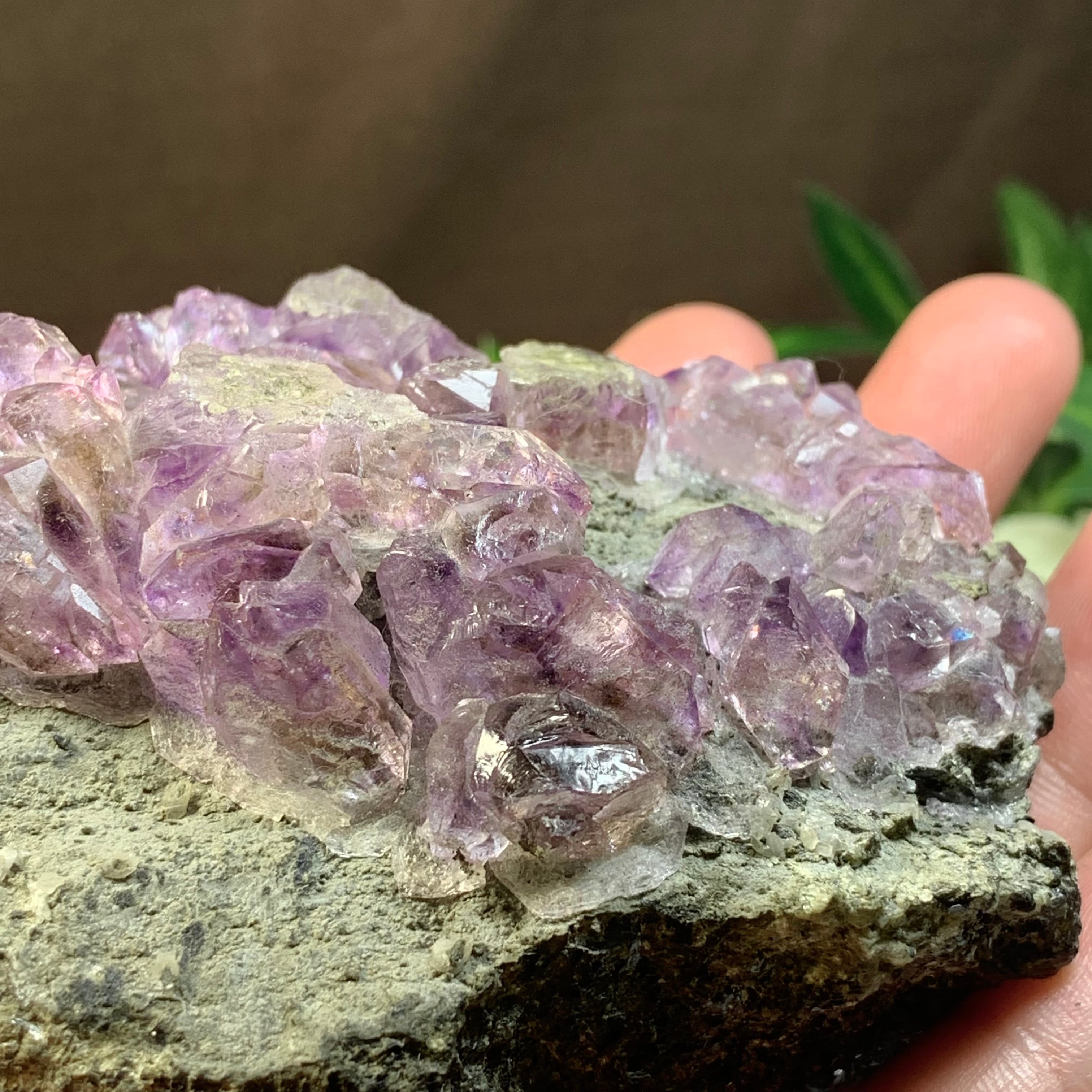 マハラシュトラ産アメジストクラスター×フローライトハリネズミ