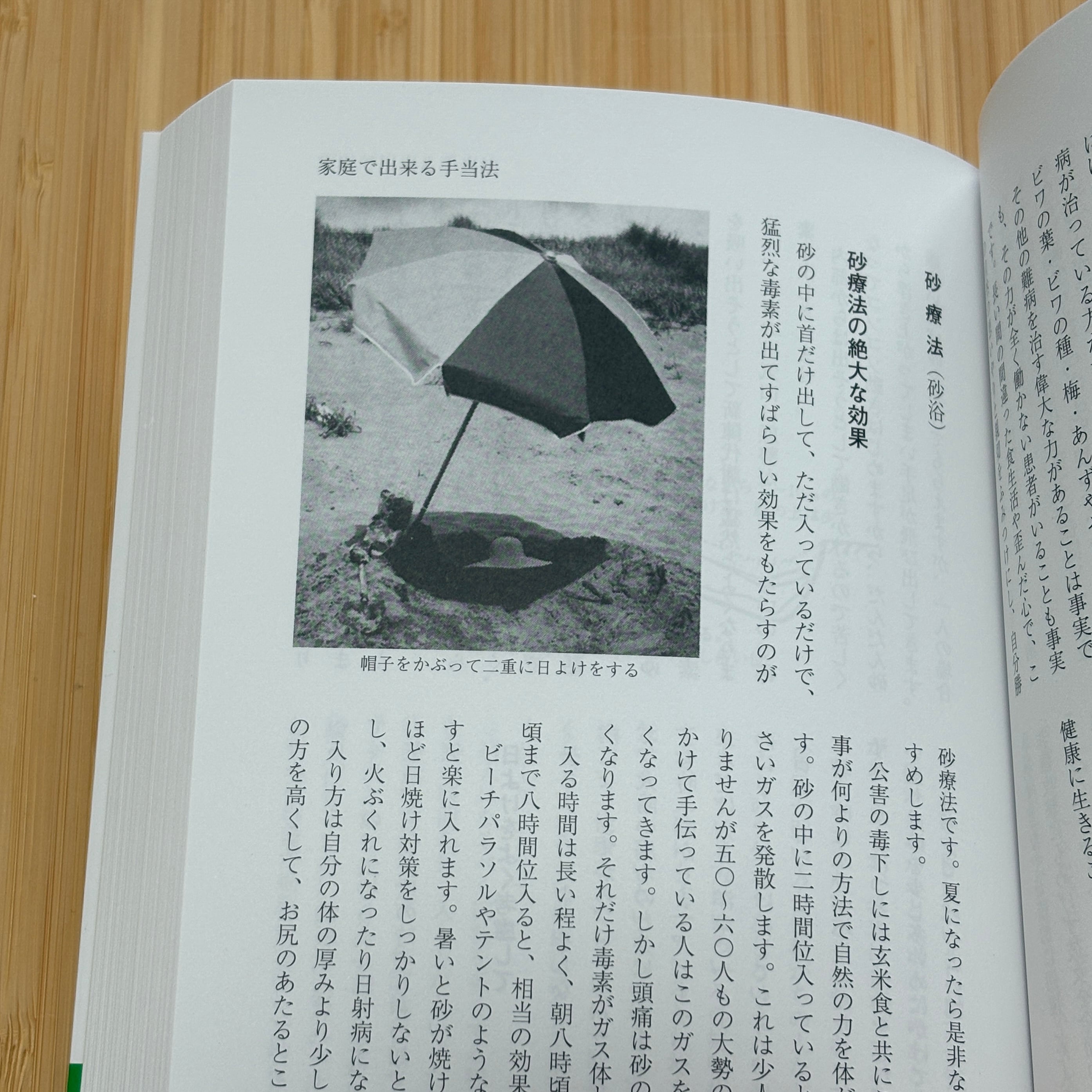 家庭でできる自然療法 【著者：東城百合子】 | sunalab.