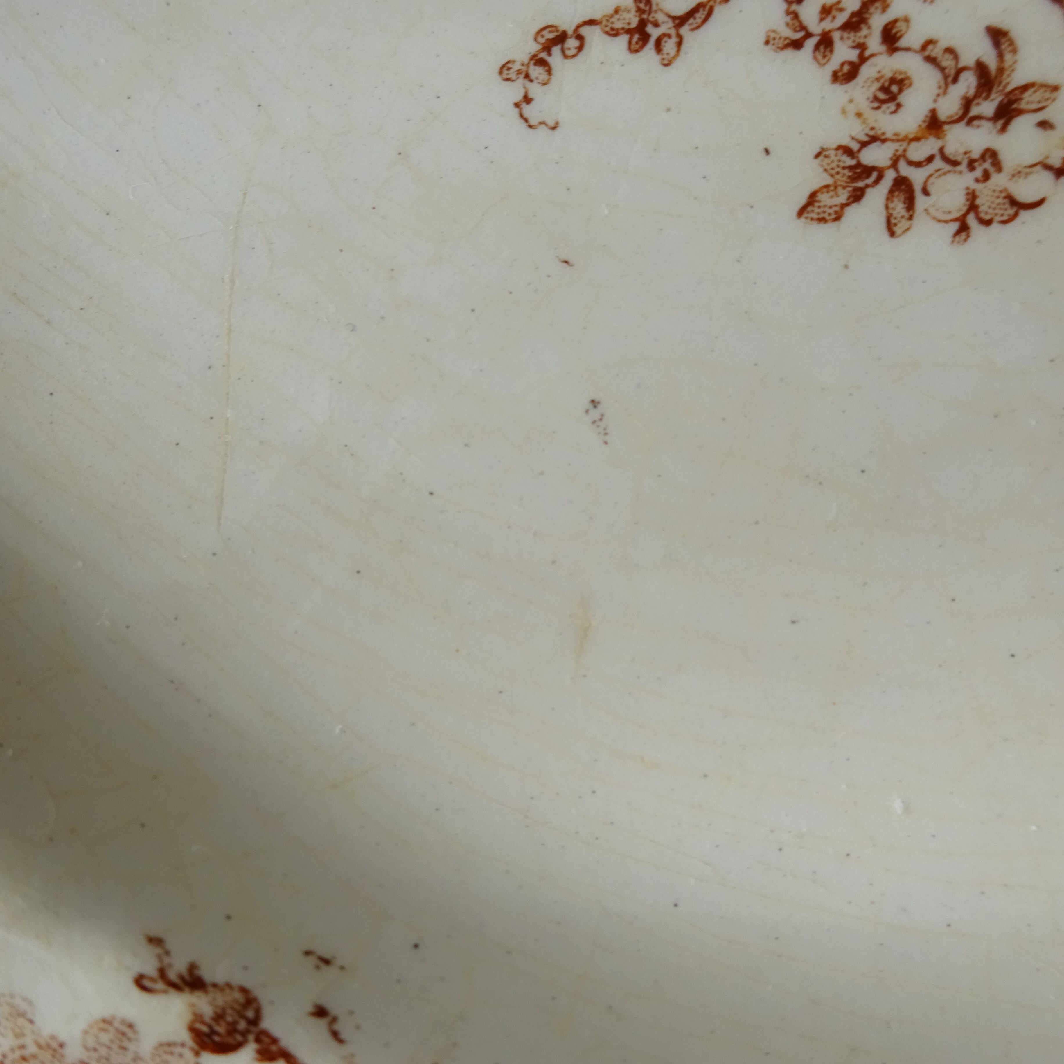 【 Épuisé 】KG Lunéville  modèle《Rocaille》Assiette plate (C)