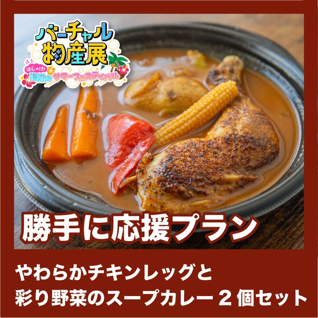 【勝手に応援プラン】やわらかチキンレッグと彩り野菜のスープカレー2個セット（サマーフェス【夜】）