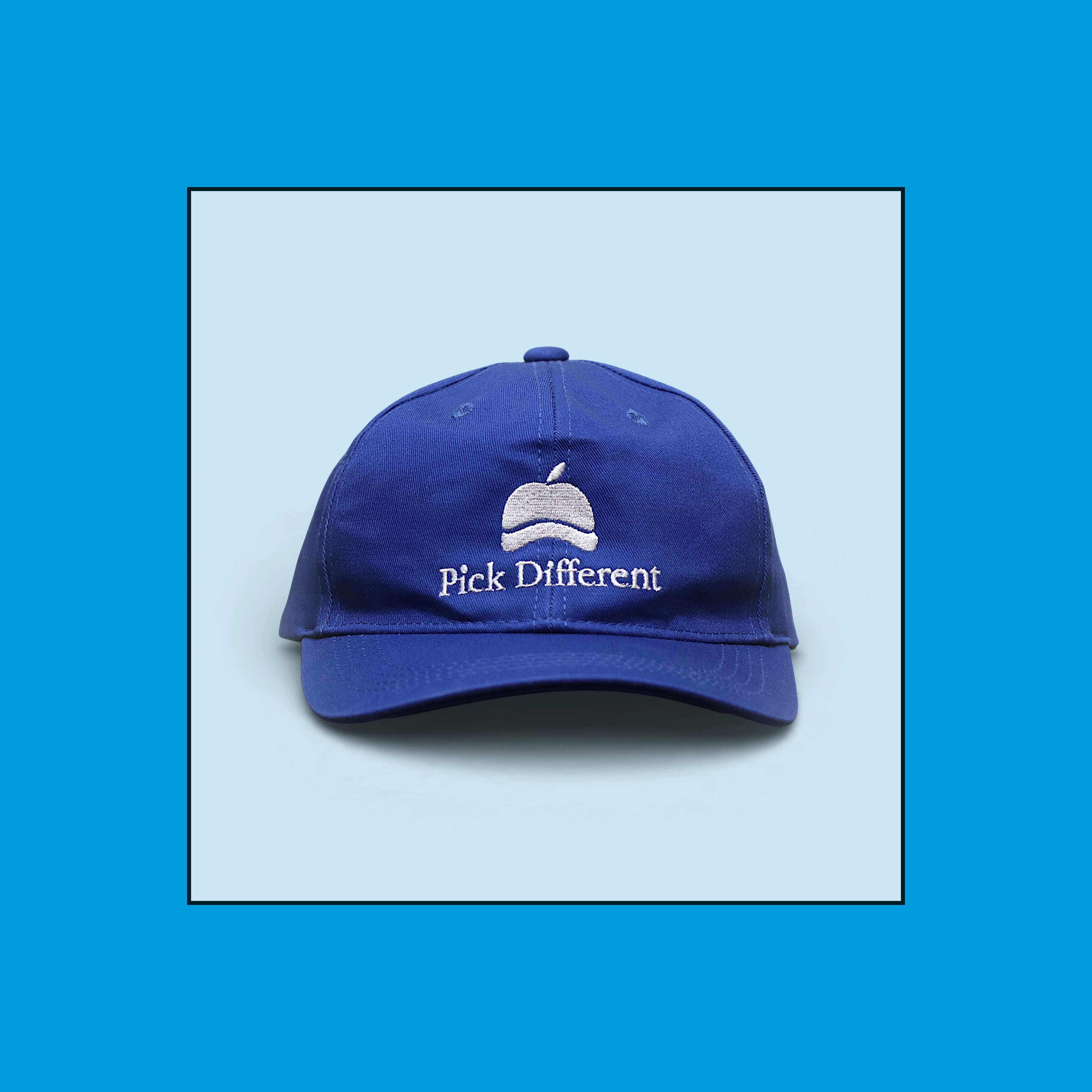 NUTZ VINTAGE CAP 