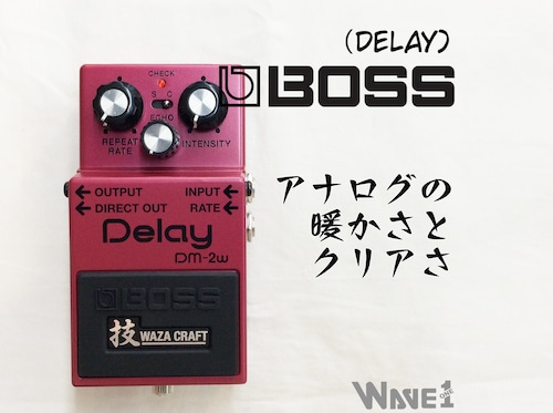 【BOSS】DM-2W