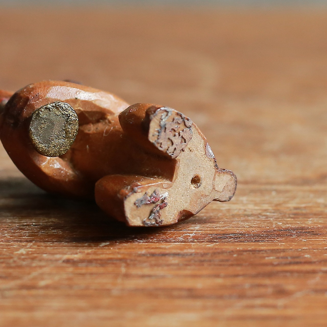 一生懸命演奏する、小さなイヌの音楽隊 3