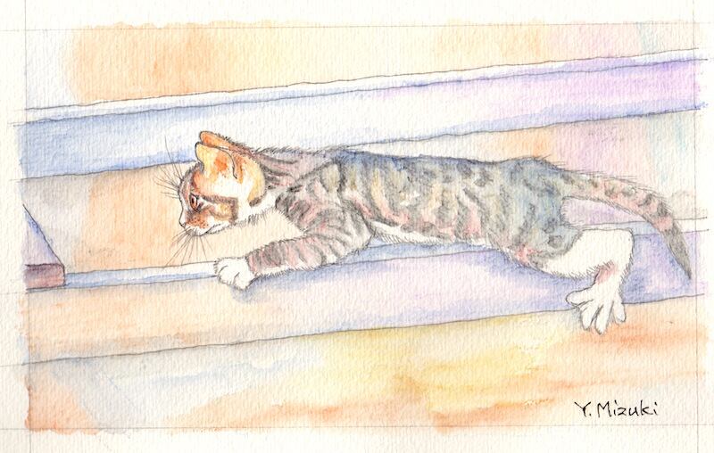 細い材木を渡ろうとしてプルプルしている子猫(額装ずみ) | mizuki