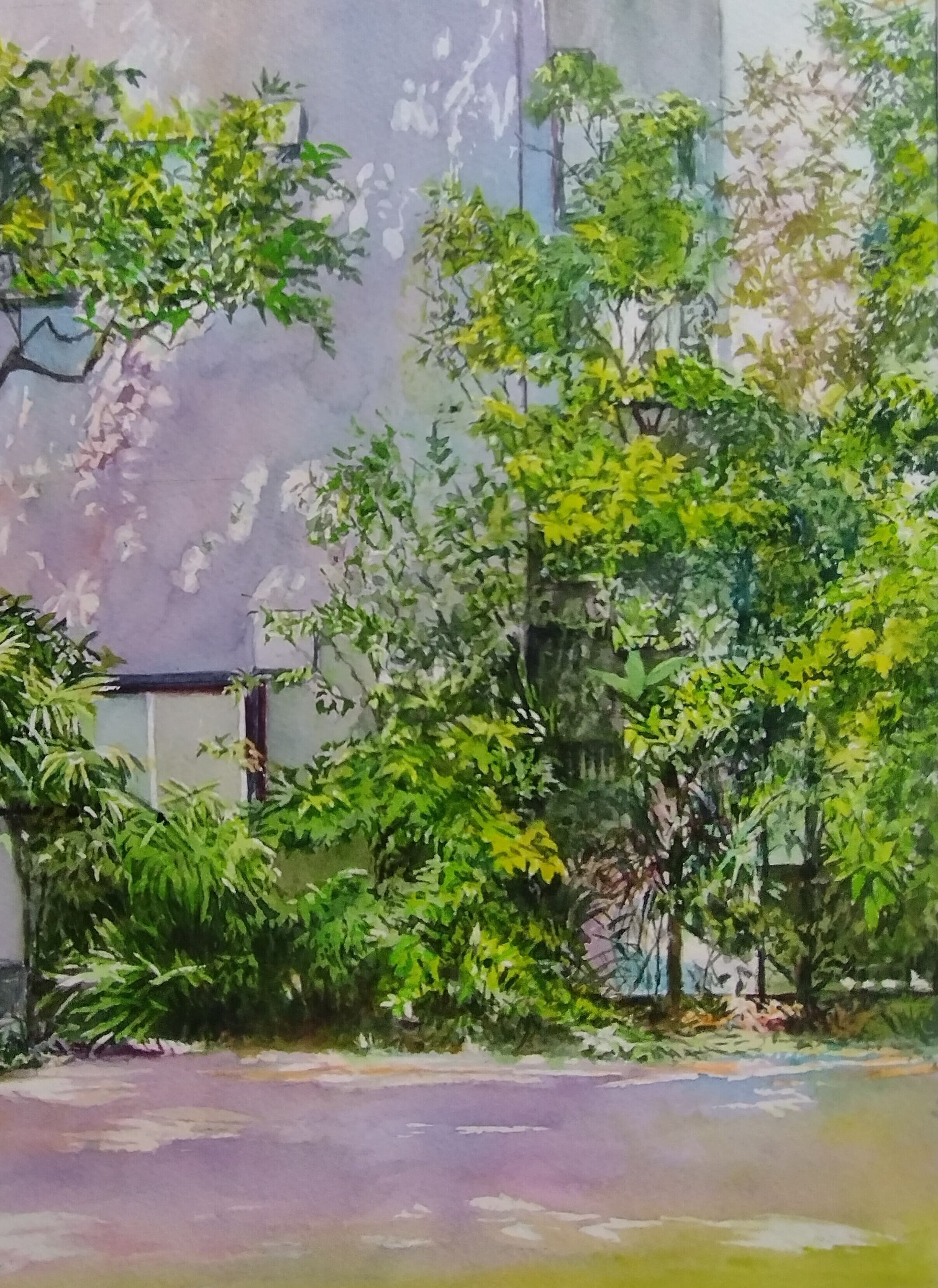 水彩画 画題「緑に包まれし大木」 | yamakasumi56