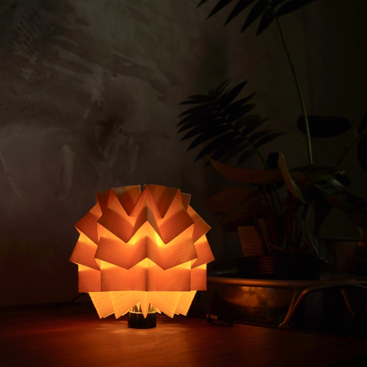 ソルオル　solol wood (松) nodel design ② solol wood【松】 | NODELDESIGN ONLINE STORE