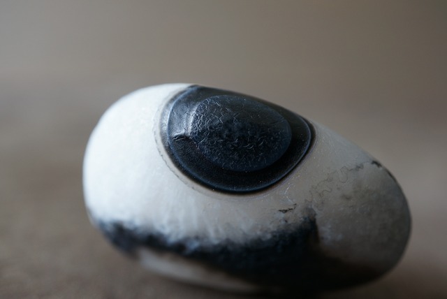 ゴビアゲート Gobi Desert Eye Agate 888