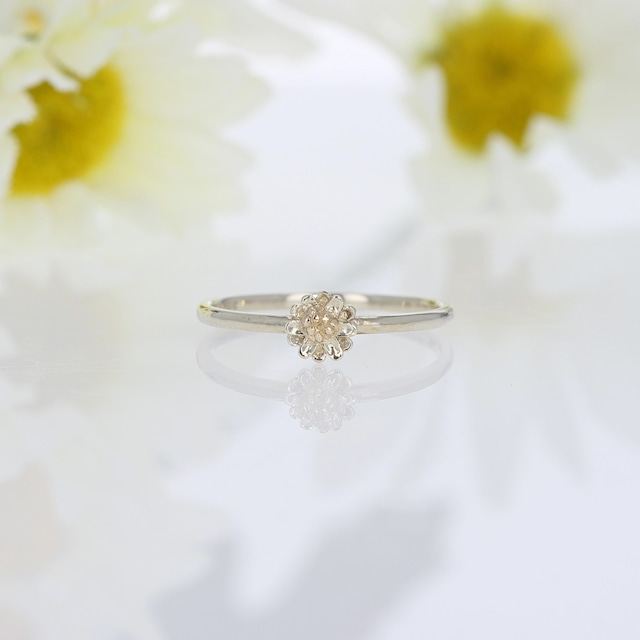 K10×K10WG / リング / Daisy ring