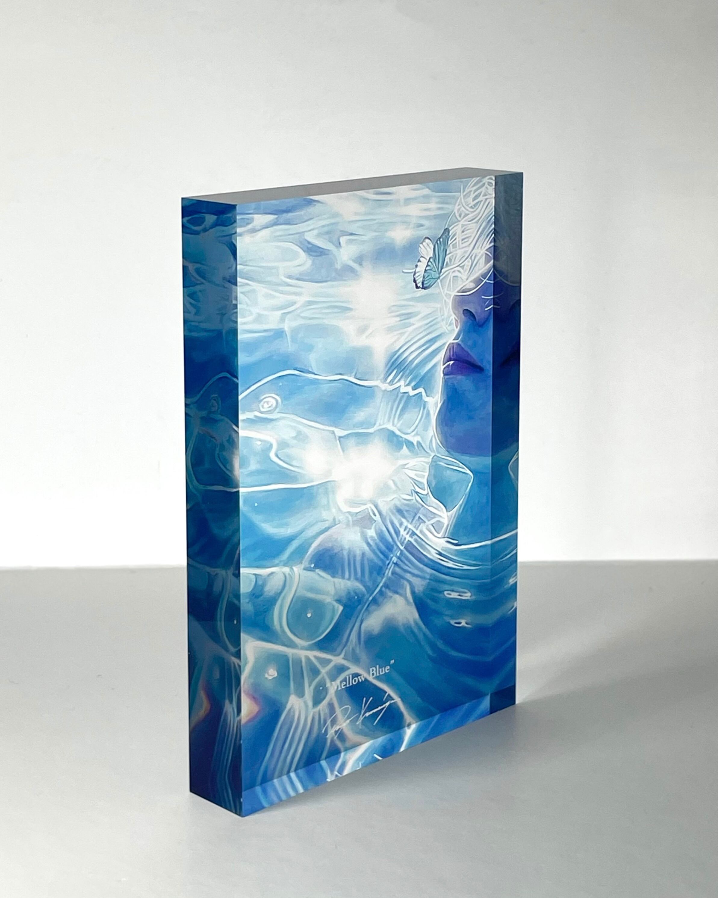 AV Monographs 252: Grafton Architects In the 21st Century | Pay ID