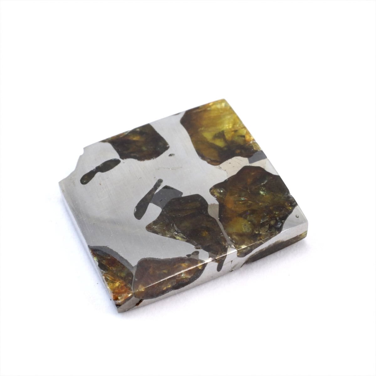 パラサイト隕石】イミラック隕石20g ケース&ネームカード付き NO.409