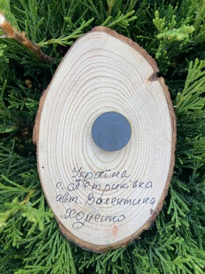 ペトリキフカ塗りのマグネット ペトリキウカ村（Khomenko製作）