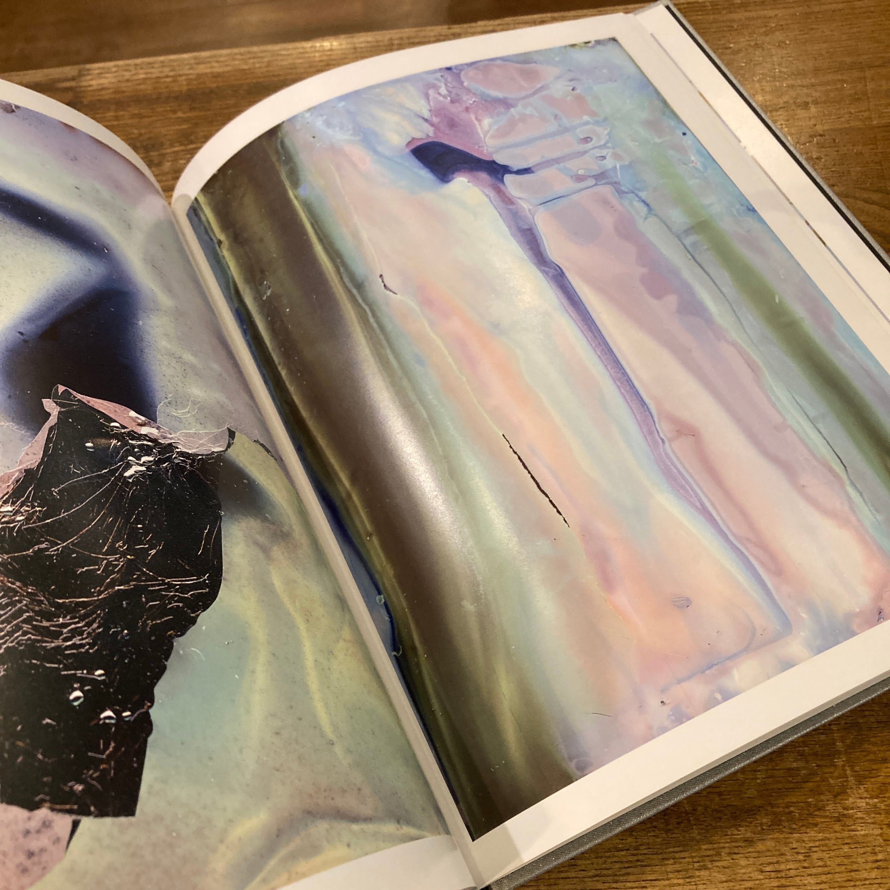 COLOR PHOTOGRAPHS / 横田大輔 Daisuke Yokota | 百年