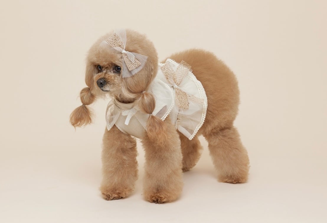 【CCPM】Fairy Cape Crop